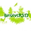 Dublin’s International Day for Biodiversity