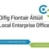 Dublin’s Local Enterprise Week