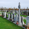 Elderly & Disabled Locals Hit Out Over Palmerstown Graveyard Barrier
