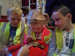 Kids With turtle
